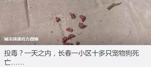 济南发布养犬通告规定什么:济南发布养犬通告：外出遛狗时狗绳最长1.5米。你怎么看？ 最新济南市养犬管理规定