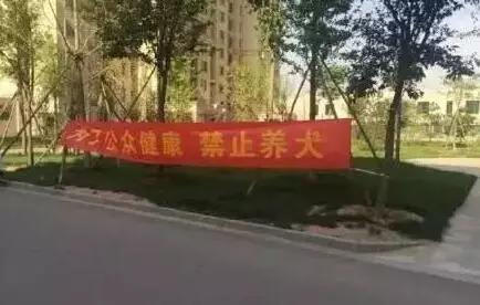 济南发布养犬通告规定什么:济南发布养犬通告：外出遛狗时狗绳最长1.5米。你怎么看？ 最新济南市养犬管理规定