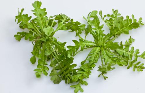 野菜图片大全及名字,在农村你吃过的野菜有哪些？