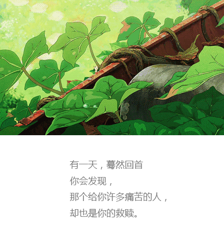 微信忧伤图片:有没有什么凄凉唯美的句子及图片