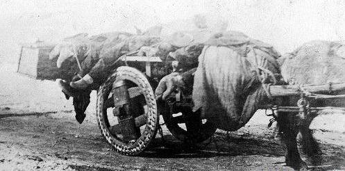 云南发生鼠疫25个:1910年鼠疫下的哈尔滨，是什么样的