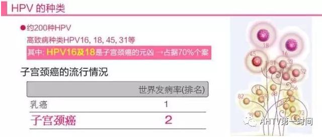 二价疫苗价格,二价宫颈疫苗价格是多少？
