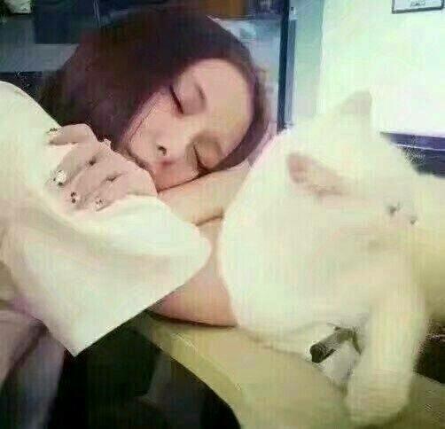 麦小兜:麦小兜和钱贝为什么不结婚？