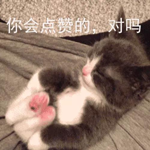 名侦探赵五儿:李亚鹏新恋情曝光，你怎么看