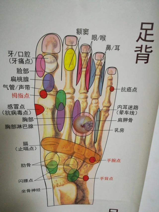 面部神经炎:面部神经炎是怎么引起的？