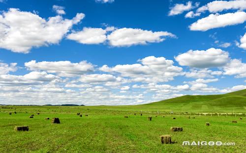中国玉文化博物馆,中国有哪些国家级博物馆？在哪里呢？