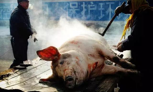 昆明杀猪饭哪里最好吃，东北杀猪菜和云南杀猪饭，哪个让你欲罢不能？