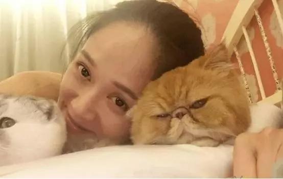 吸猫:如何看待当代年轻人喜欢吸猫多过于养狗？