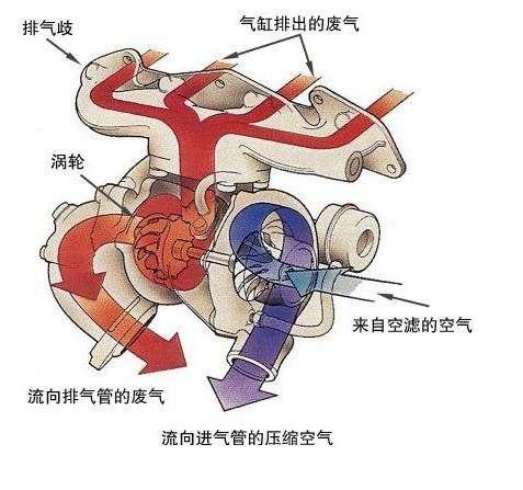 白头粉刺要挤掉吗？还是放着护理好自然就会消除掉？:好自然 第5张