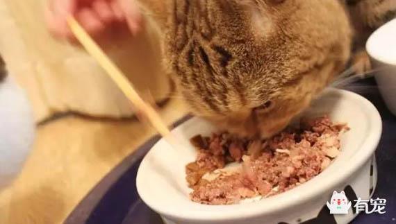 素力高金装官方授权店:有哪些好的合适的猫粮品牌，安全和性价比都比较优秀的？ 素力高旗舰店