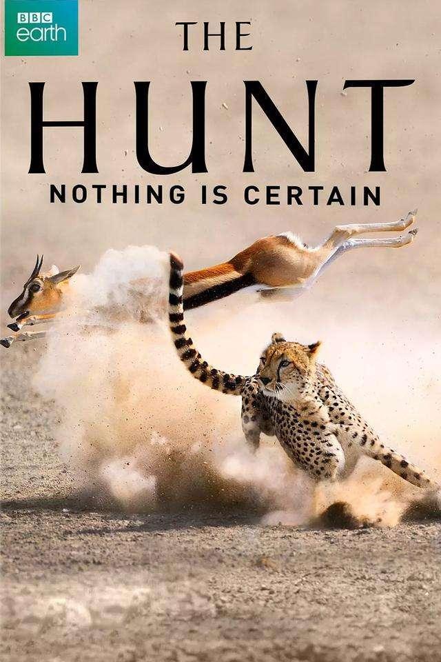 6,猎捕 the hunt(2015,豆瓣评分:9.