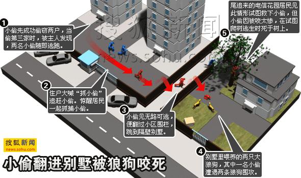 广东偷狗被打:在村里面偷狗被发现打死，该怎么处理？