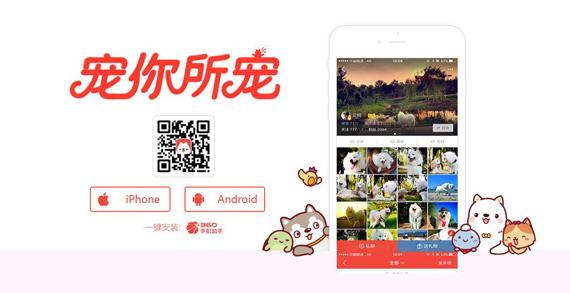 马鞍山宠物猫免费领养:#宠爱日#从哪些渠道可以找到待领养的动物？
