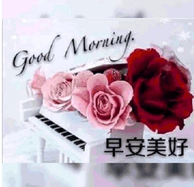 早上吸引<a href=https://maguai.com/list/256-0-0.html target=_blank class=infotextkey>朋友圈</a>的句子早安心语:有哪些鼓励人的早安心语分享吗？