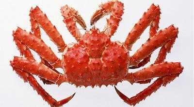 蜘蛛蟹能吃吗，梭子蟹、大闸蟹、和尚蟹、黄道蟹，常见食用蟹怎么区分啊？