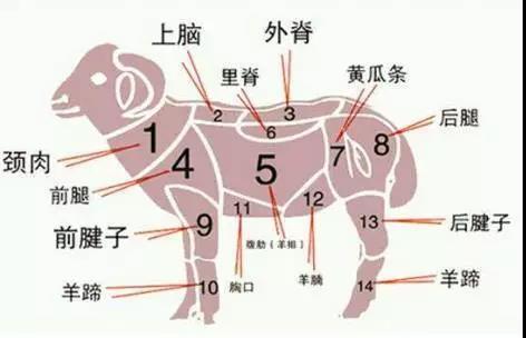 老北京爆肚的做法,老北京爆肚是有什么特色？