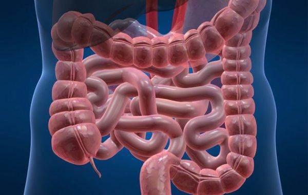 三门相通会死人,人类离开哪个器官不会死亡？