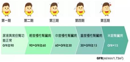 怎样看肾功能化验单-肾功能正常化验单