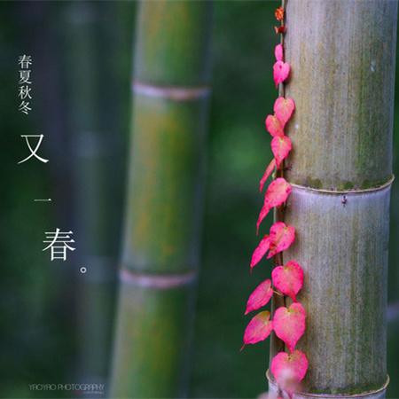 杨明鑫:去赣州旅游有哪些好玩的景点推荐呢？