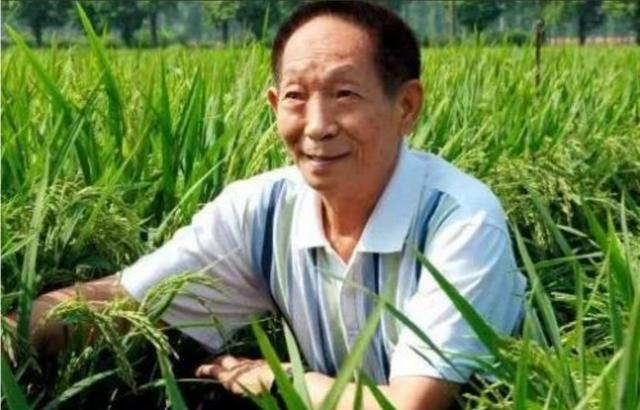 社科院院士陆建华:为什么屠呦呦获得了诺贝尔奖却没被评上中科院院士？