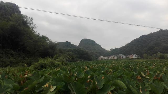 贺州有什么“鲜为人知”，但很有意思的景点？