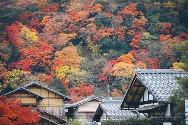 头条问答 日本旅游 除了常规的东京 大阪一条线外 还有哪些地方值得去 30个回答