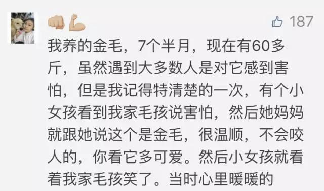 山东威海虐狗事件:哪些事能够看出对生命的敬畏？ 山东威海虐狗事件中砸车行为