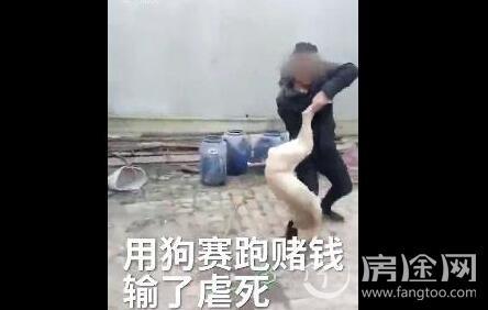男子当街生火烤狗拍虐狗视频:北京一男子遛自家宠物狗，抡砖狠心砸死流浪狗，你怎么看？ 男子街头疯狂虐狗