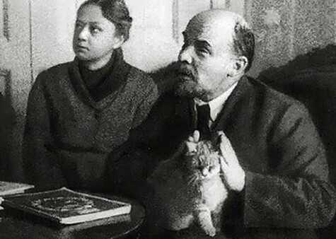 猫奴契约书 在线:外国历史上有哪些著名的猫奴？