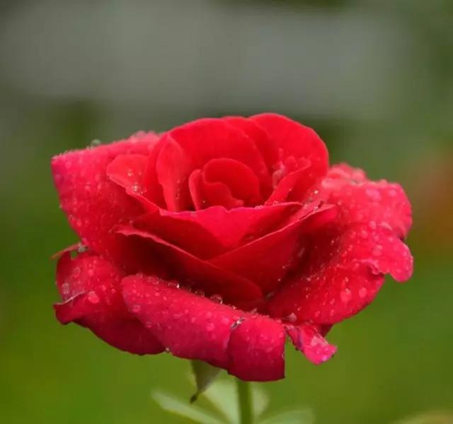 生日低调发<a href=https://maguai.com/list/256-0-0.html target=_blank class=infotextkey><a href=https://maguai.com/list/256-0-0.html target=_blank class=infotextkey>朋友圈</a></a>:过生日怎么发<a href=https://maguai.com/list/256-0-0.html target=_blank class=infotextkey><a href=https://maguai.com/list/256-0-0.html target=_blank class=infotextkey>朋友圈</a></a>显得幽默？(宝贝过生日怎么发<a href=https://maguai.com/list/256-0-0.html target=_blank class=infotextkey><a href=https://maguai.com/list/256-0-0.html target=_blank class=infotextkey>朋友圈</a></a>)
