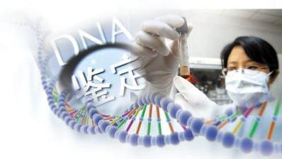 亲子鉴定价钱:DNA亲子鉴定的价格是多少？