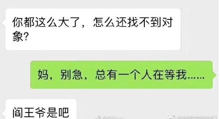 你的手机里有哪些猫咪<a href=https://maguai.com/list/39-0-0.html target=_blank class=infotextkey>搞笑</a>图片(猫咪头像图片微信头像)