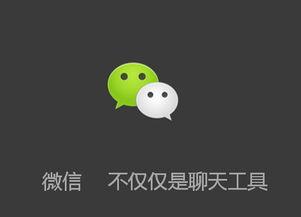 为什么现在有好多人收<a href=https://maguai.com/personal/ target=_blank class=infotextkey>微信号</a>，他们的主要用途是干什么