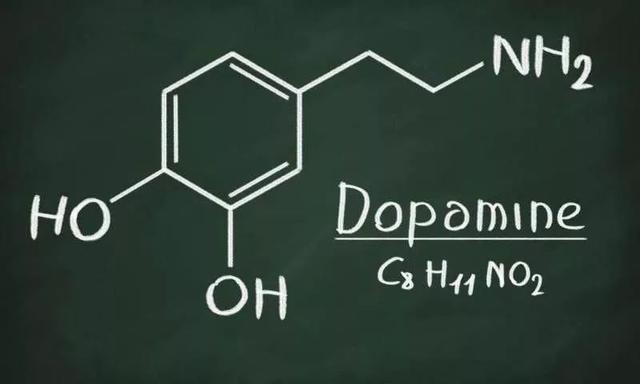 吗啡的药理作用,爱情由什么化学物质组成？