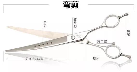 宠物美容剪刀的拿法:宠物剪刀都有哪些种类，如何使用？
