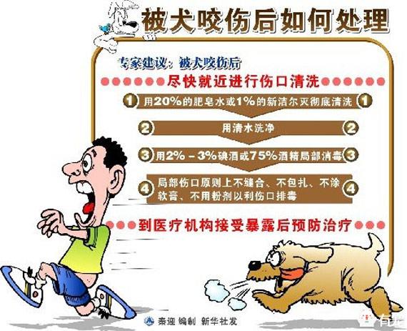 张馨予训狗惨被咬伤:打过狂犬疫苗的狗，咬到人后，被狗咬到的人还需要打针吗？