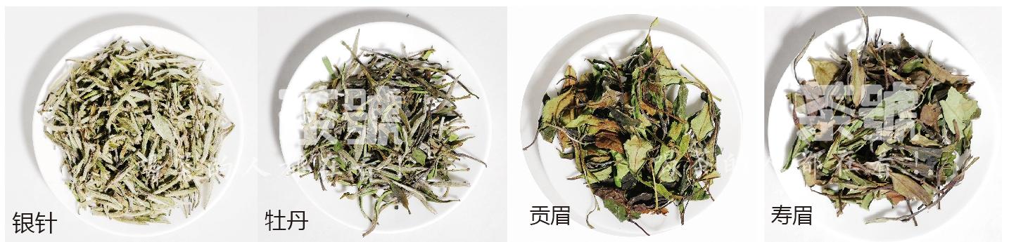 喝白茶都有什么好处,一年四季，各个季节该如何喝白茶？