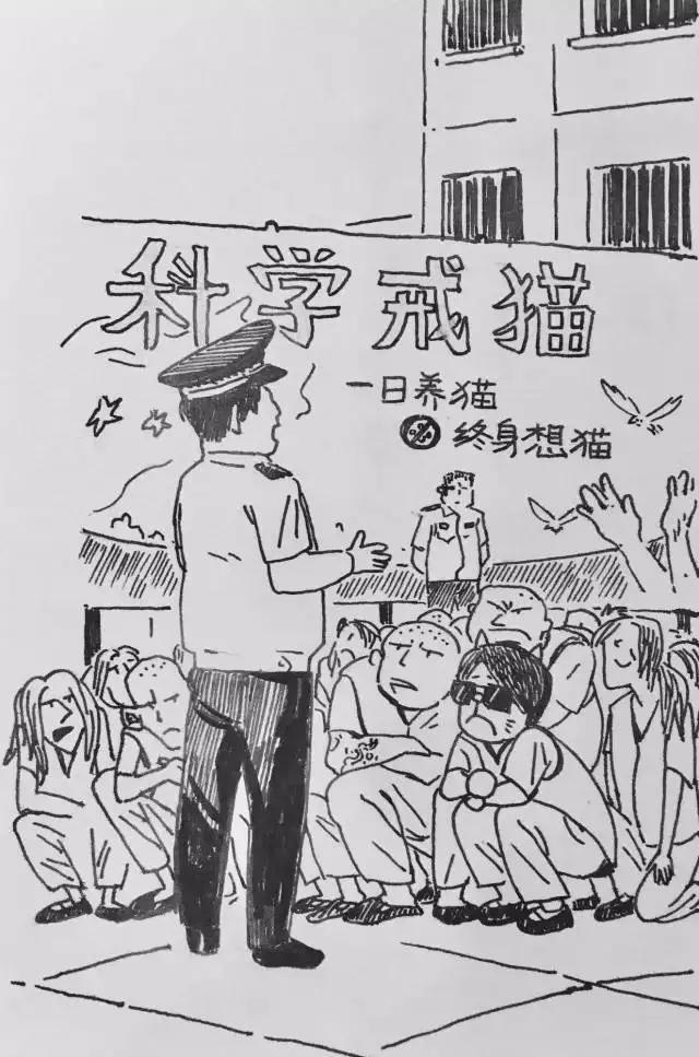 吸猫:如何看待当代年轻人喜欢吸猫多过于养狗？