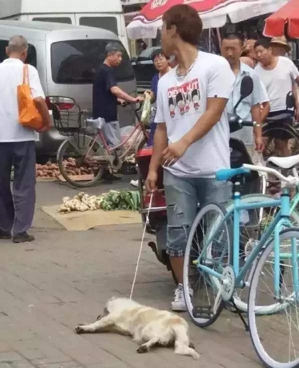 男子当街生火烤狗拍虐狗视频:如何评价一男子要吃狗肉当街摔死他人小狗，后遭暴打？