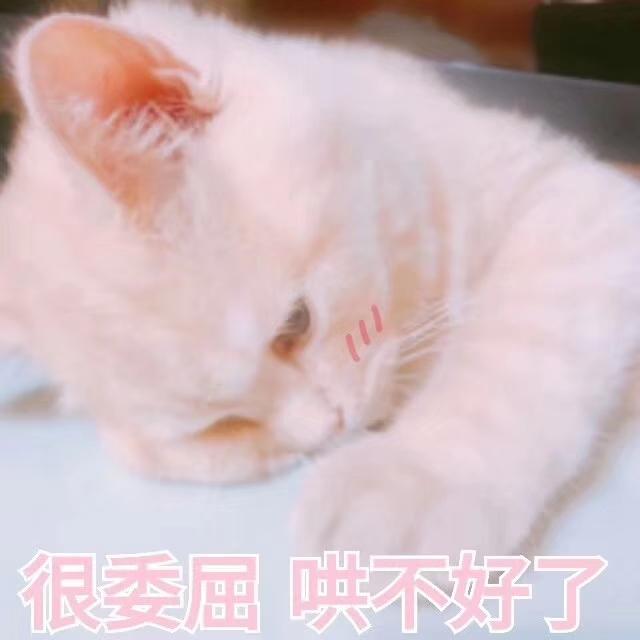 <a href=https://maguai.com/list/256-0-0.html target=_blank class=infotextkey>朋友圈</a>心情句子:有哪些句句扎心，现实露骨的<a href=https://maguai.com/list/256-0-0.html target=_blank class=infotextkey>朋友圈</a>心情<a href=https://maguai.com/list/46-0-0.html target=_blank class=infotextkey>语录</a>？