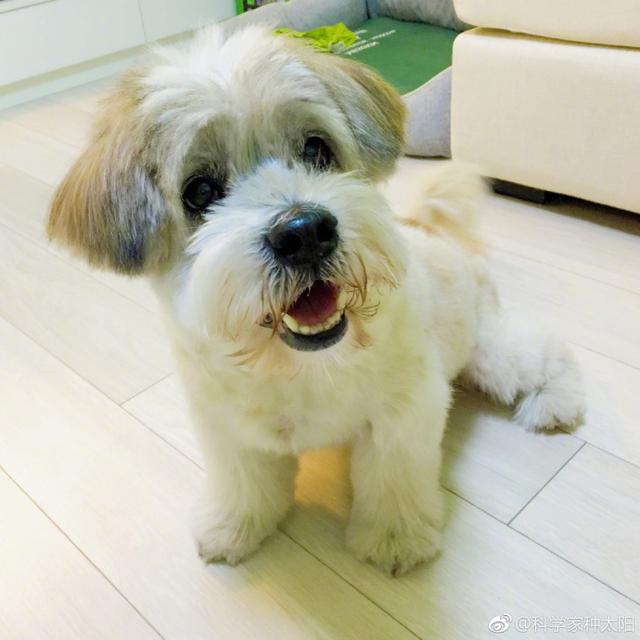 宠物与我任我淫:#鲸奇物语#你的宠物和你之间有过什么难忘的回忆？