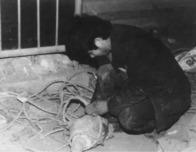 兵马俑真有灵异事件吗:秦始皇的一个兵马俑到底值多少钱？