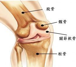 复发性髌骨脱位 概念:髌骨急性脱位，为什么医生会建议手术治疗？