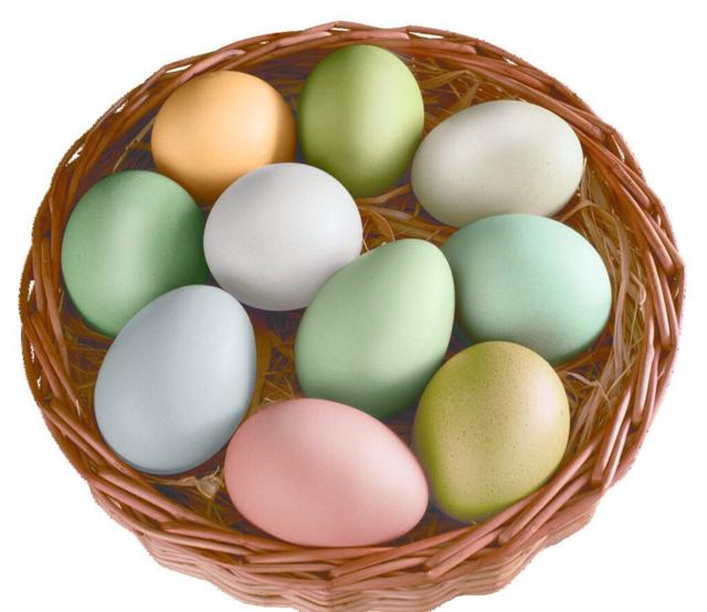 虾皮为何有三种颜色，为什么鸡蛋壳颜色有白有红，甚至还有绿色，营养一样吗