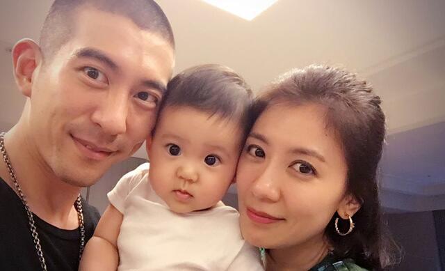 张歆艺与杨树鹏:娱乐圈都有哪些闪婚闪离的明星夫妻呢？都是因为什么呢？