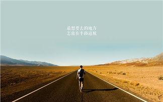 徐佳袭香:为什么杨蓉怎么都火不起来呢？