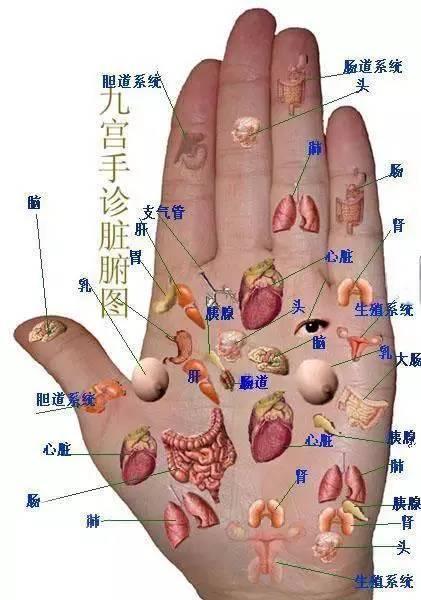 黄研:肝不好的人，手上会出现哪些信号？