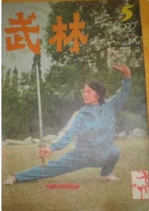 哪些小说可以称得上是武侠界的“四大名著”？