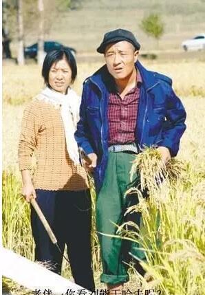 乡村爱情杨总:《乡村爱情十》已杀青，这种电视剧为什么能拍到第十部？