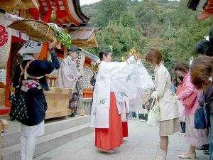 白色战士大和犬22:犬夜叉中犬大将被龙骨精打伤，刹那猛丸打死是bug么？